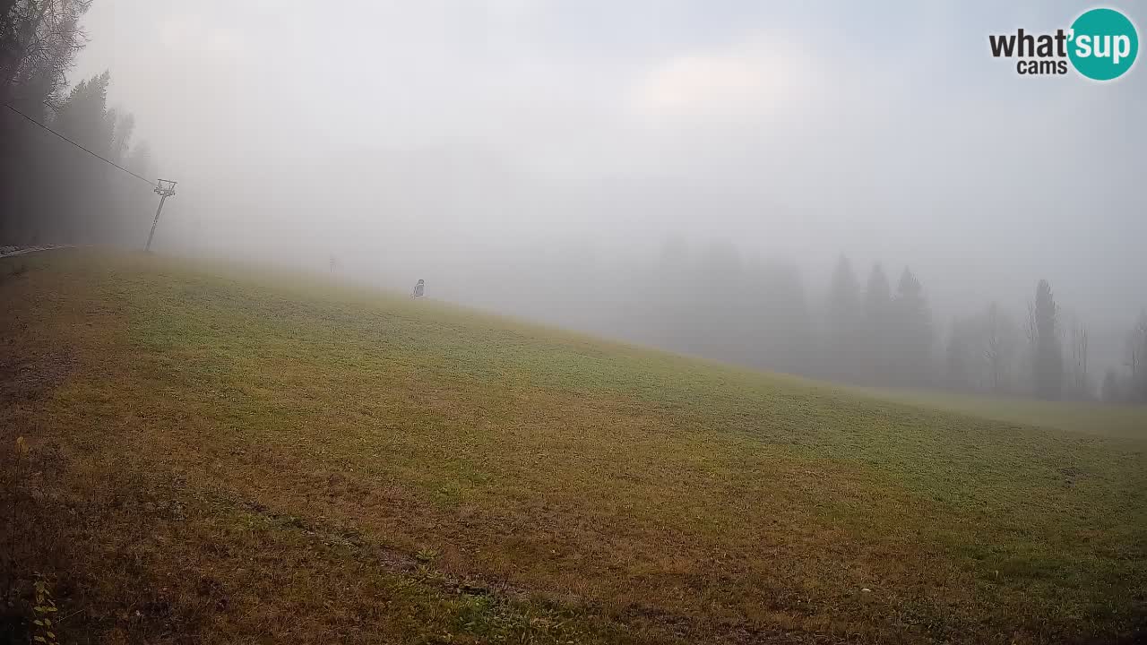 Kranjska Gora Station de ski | Brsnina