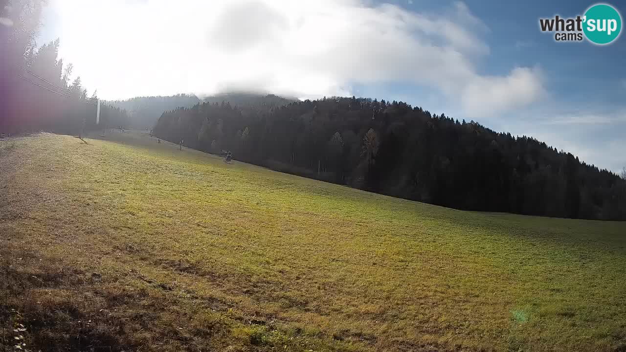 Ski Kranjska Gora | Brsnina