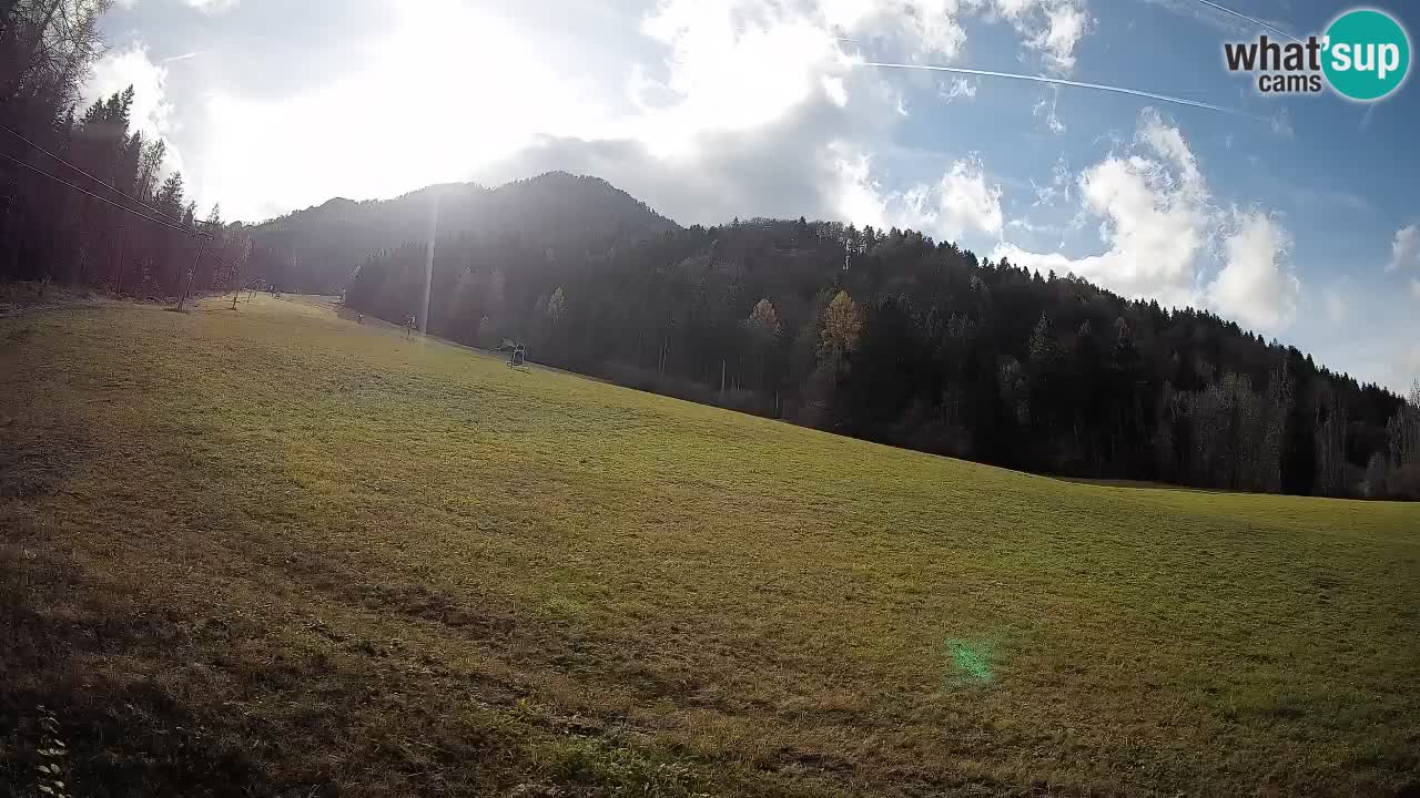 Kranjska Gora Station de ski | Brsnina