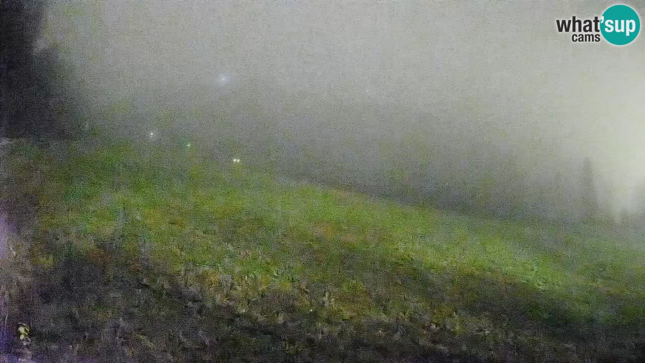 RTC Kranjska Gora | Brsnina