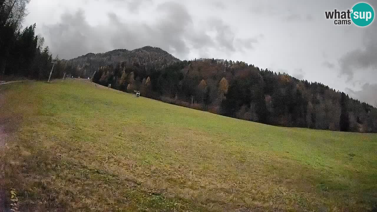 RTC Kranjska Gora | Brsnina