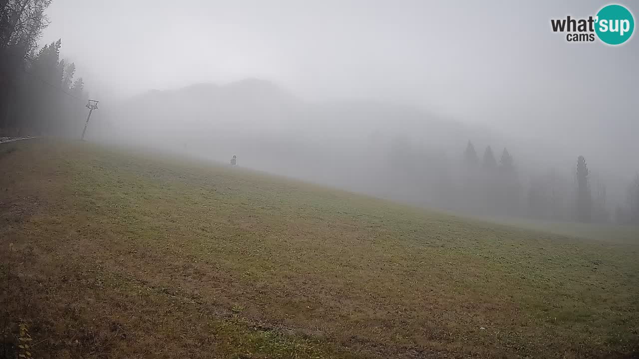 Comprensorio sciistico Kranjska Gora | Brsnina