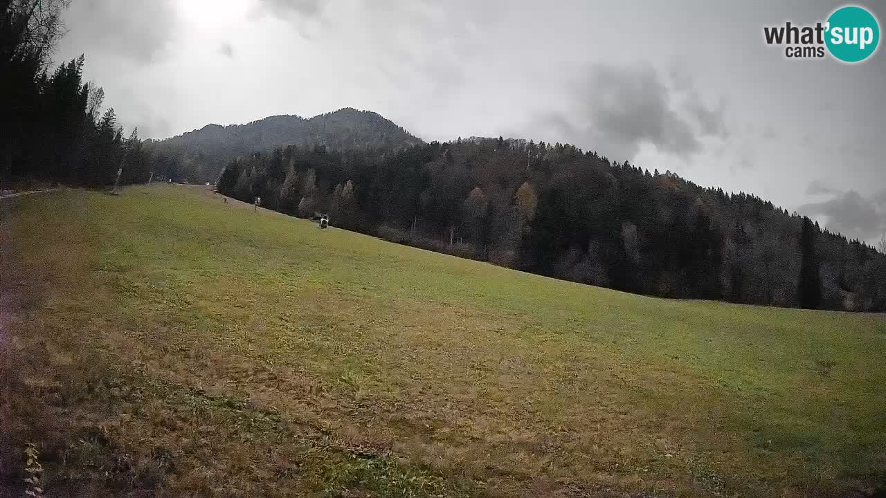 RTC Kranjska Gora | Brsnina