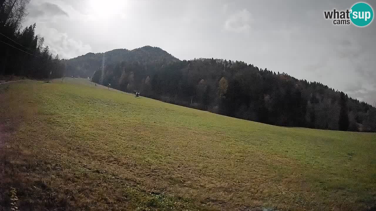 Comprensorio sciistico Kranjska Gora | Brsnina