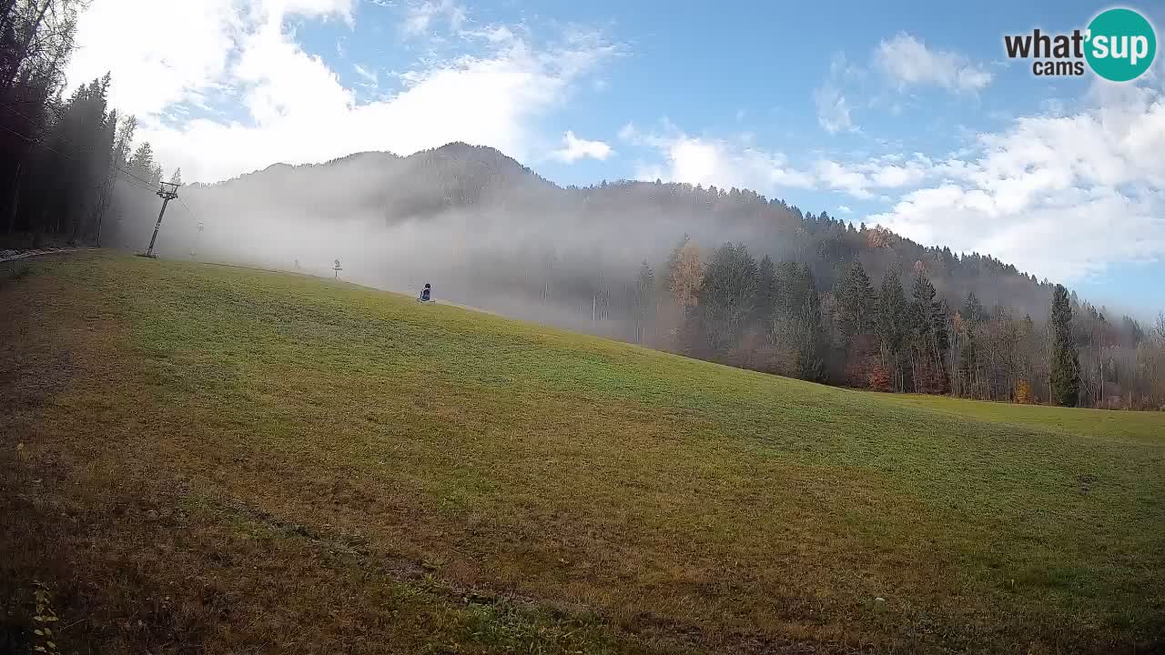 RTC Skigebiet Kranjska Gora | Brsnina