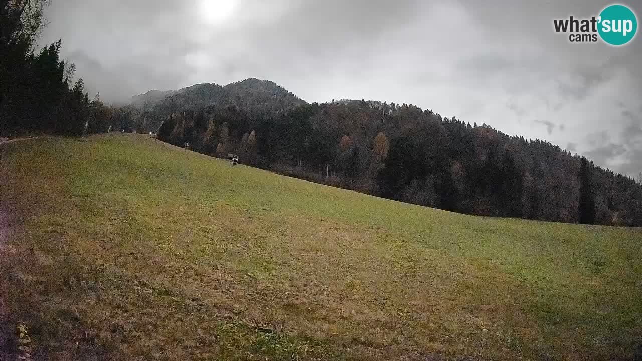 RTC Skigebiet Kranjska Gora | Brsnina