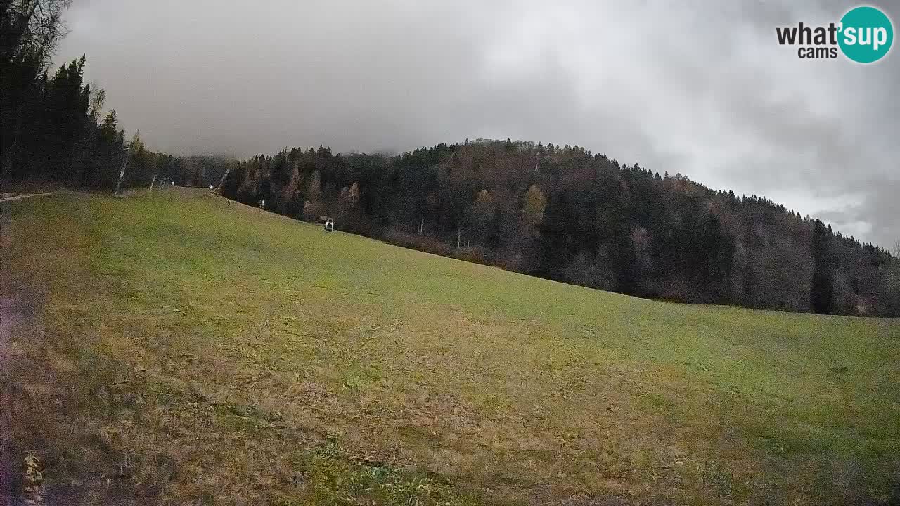 Ski Kranjska Gora | Brsnina