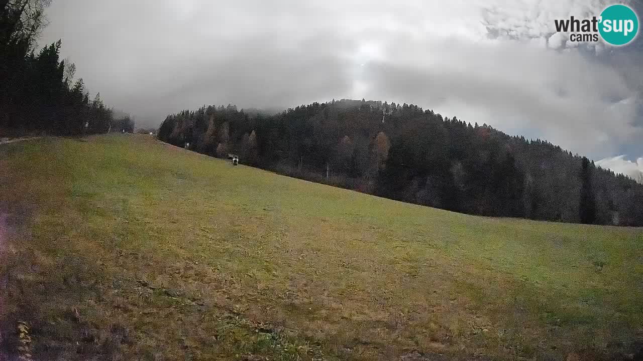 Comprensorio sciistico Kranjska Gora | Brsnina