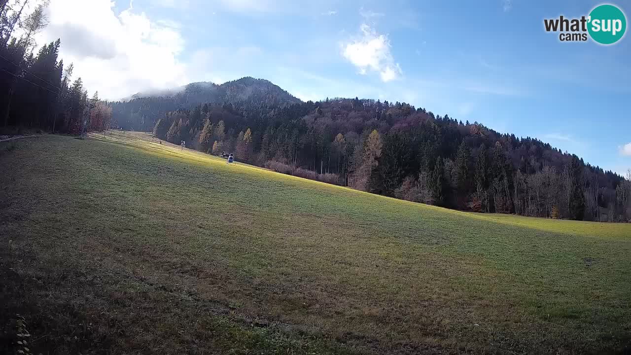 RTC Skigebiet Kranjska Gora | Brsnina