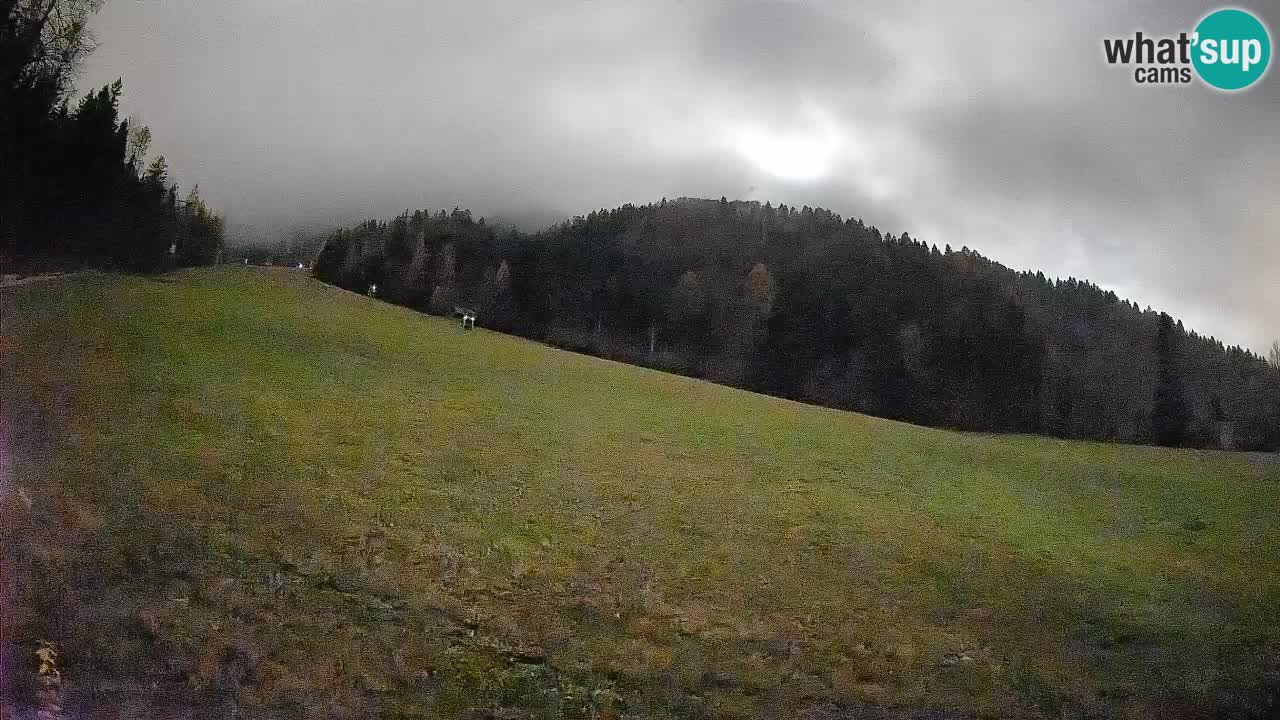 RTC Kranjska Gora | Brsnina