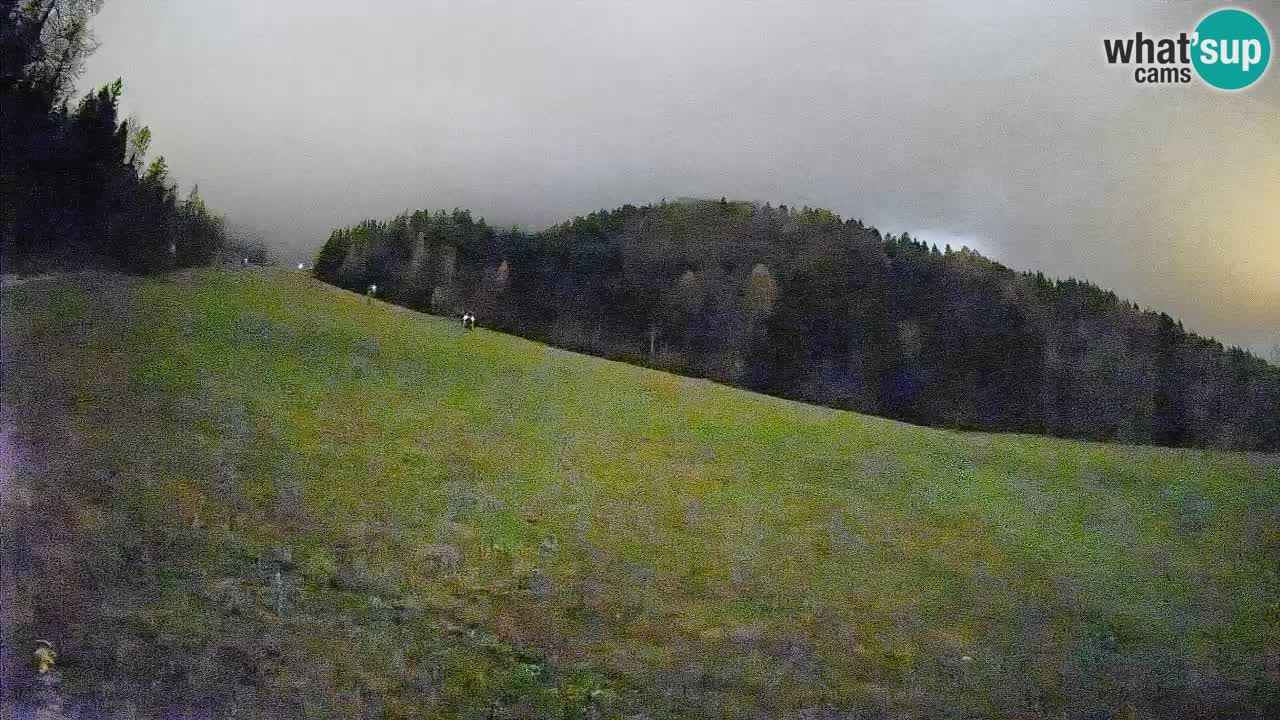 Comprensorio sciistico Kranjska Gora | Brsnina