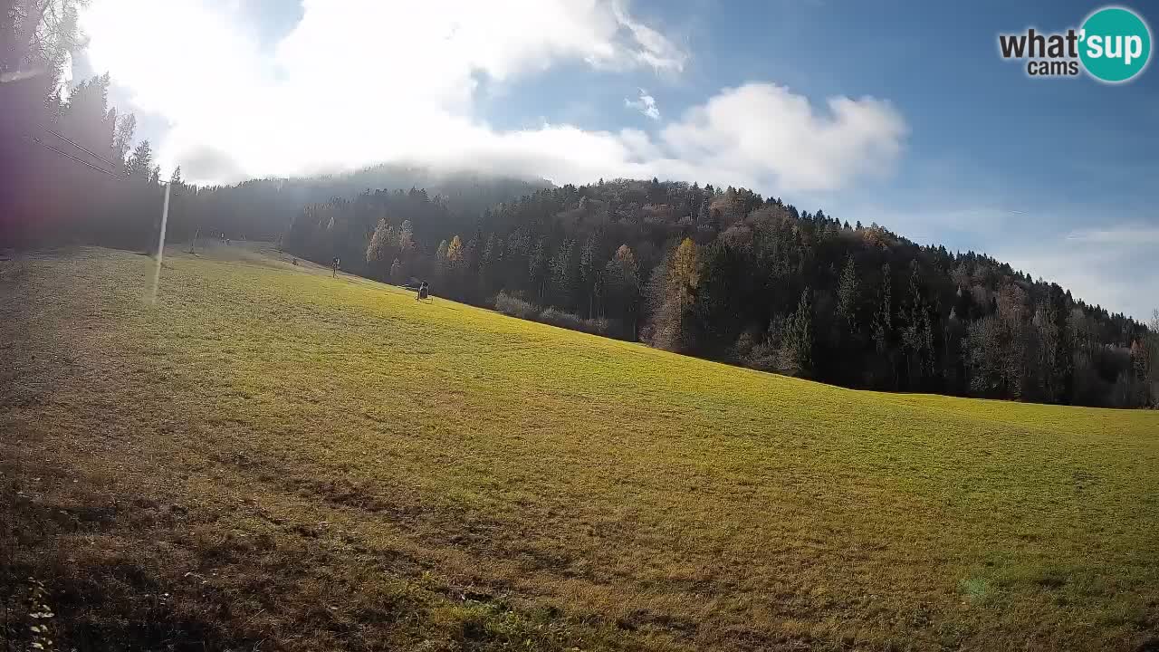 Comprensorio sciistico Kranjska Gora | Brsnina