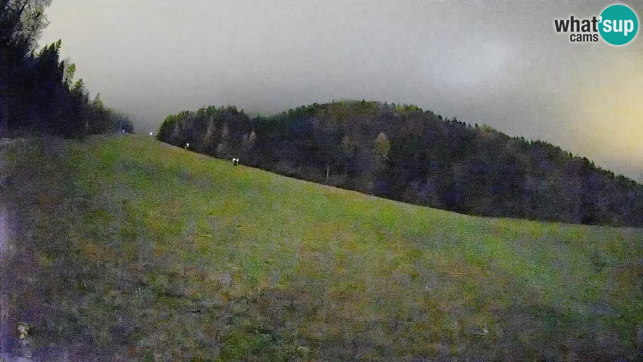 RTC Skigebiet Kranjska Gora | Brsnina