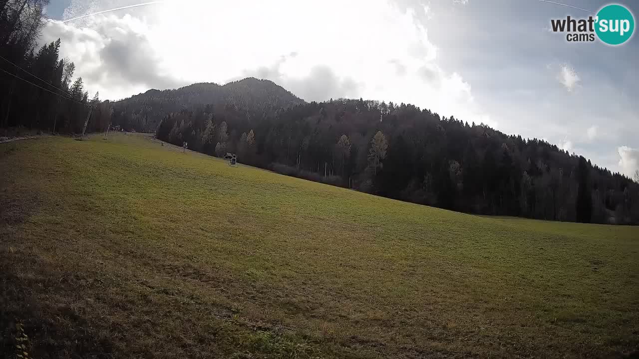 RTC Skigebiet Kranjska Gora | Brsnina