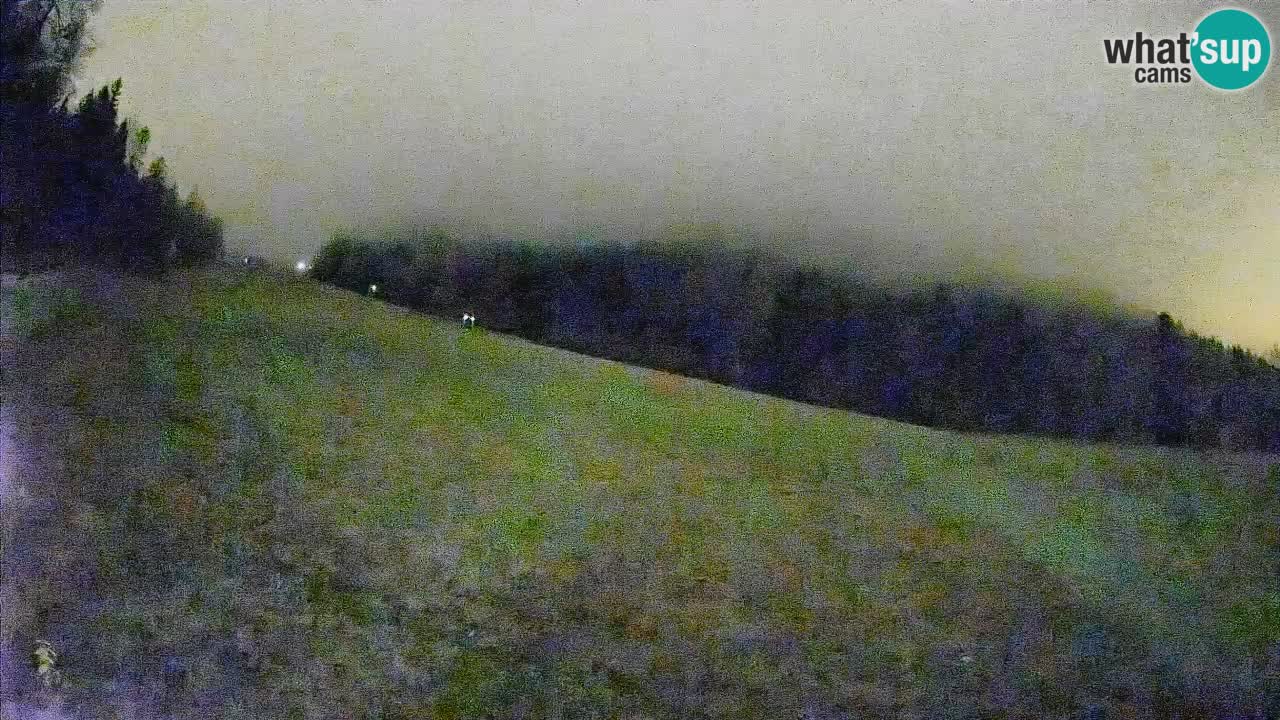 Ski Kranjska Gora | Brsnina