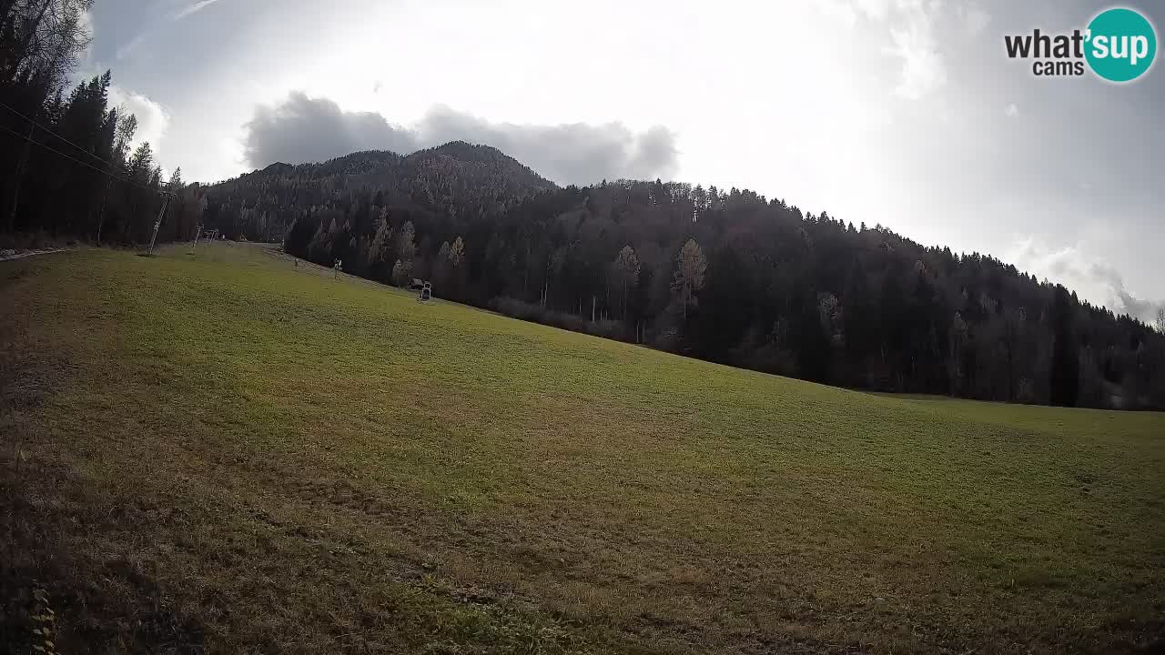 RTC Kranjska Gora | Brsnina