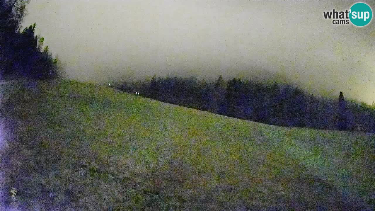 Kranjska Gora Station de ski | Brsnina