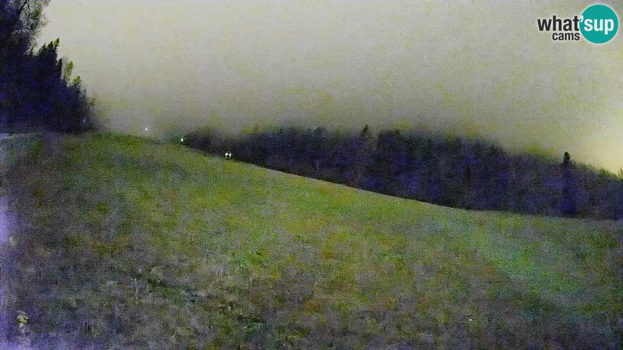 Kranjska Gora Station de ski | Brsnina