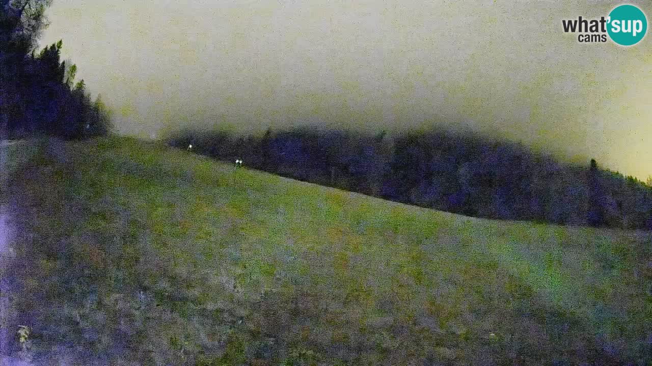 RTC Kranjska Gora | Brsnina