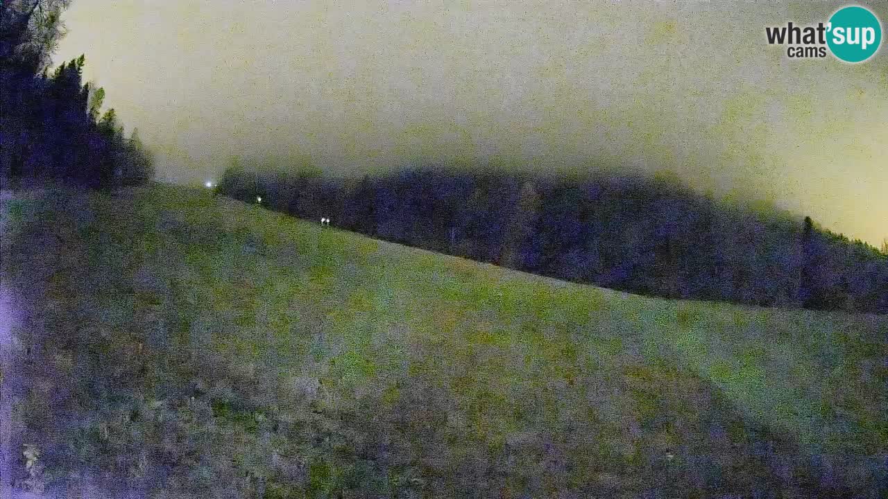 RTC Kranjska Gora | Brsnina