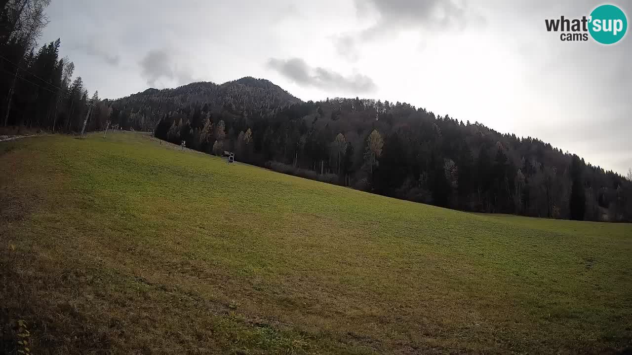 RTC Skigebiet Kranjska Gora | Brsnina