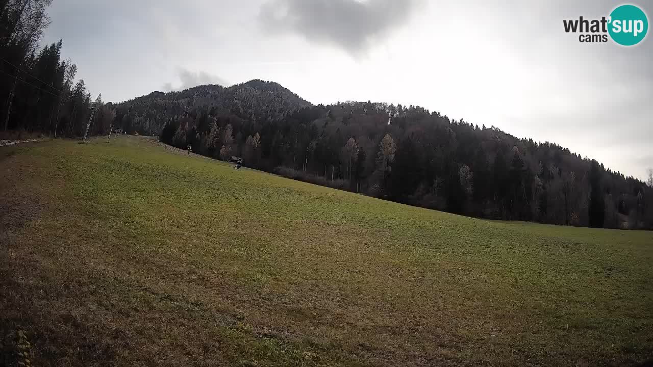 Ski Kranjska Gora | Brsnina