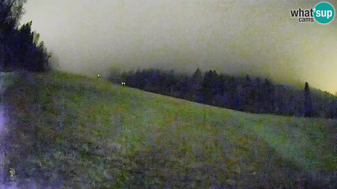 RTC Skigebiet Kranjska Gora | Brsnina