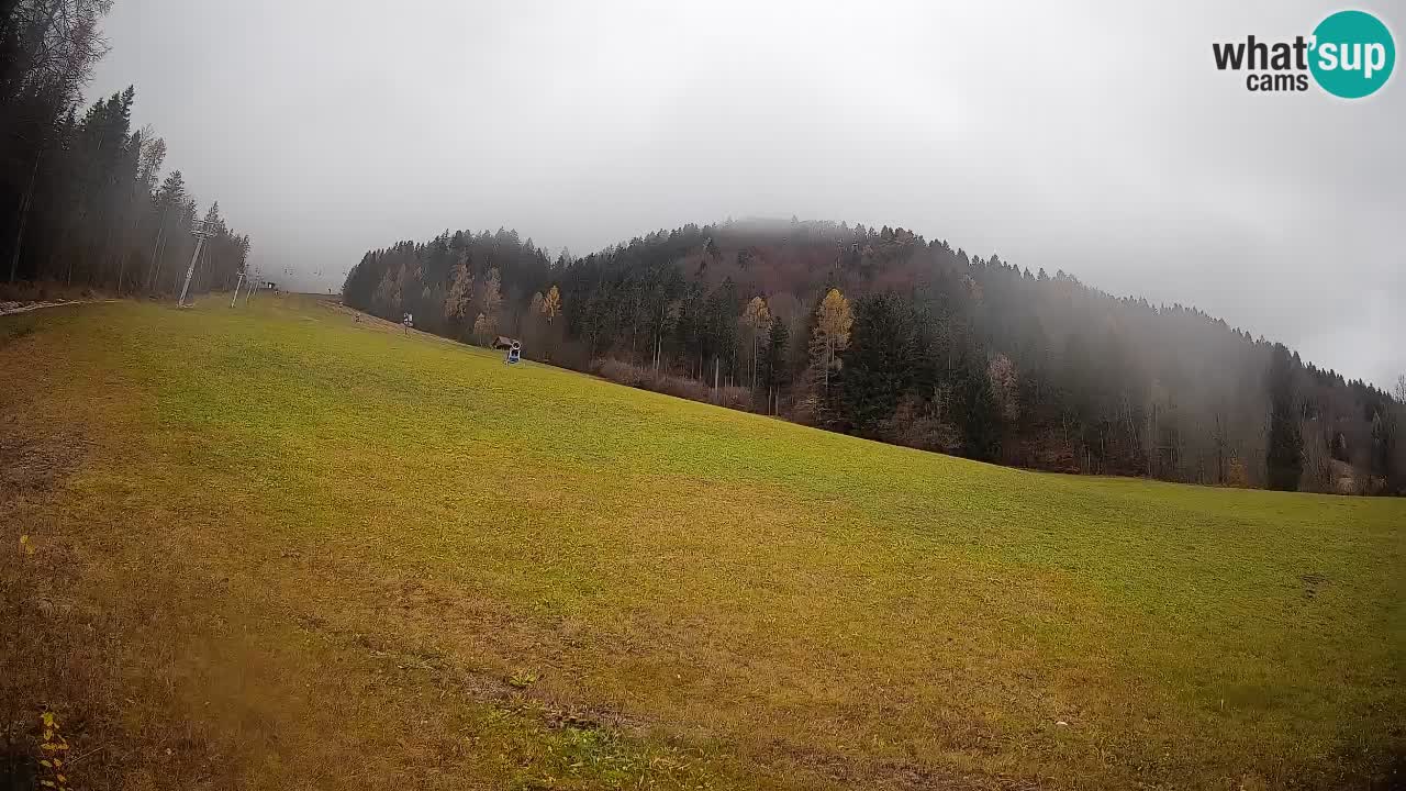 RTC Skigebiet Kranjska Gora | Brsnina