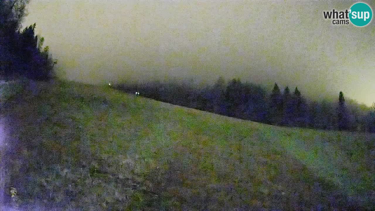 Comprensorio sciistico Kranjska Gora | Brsnina