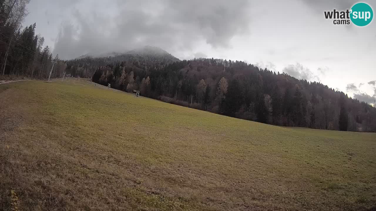 RTC Kranjska Gora | Brsnina