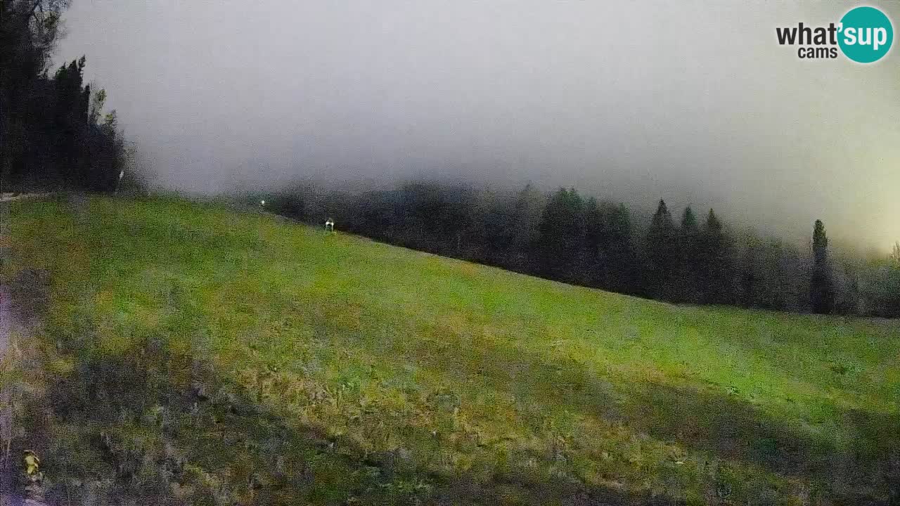 Kranjska Gora Station de ski | Brsnina