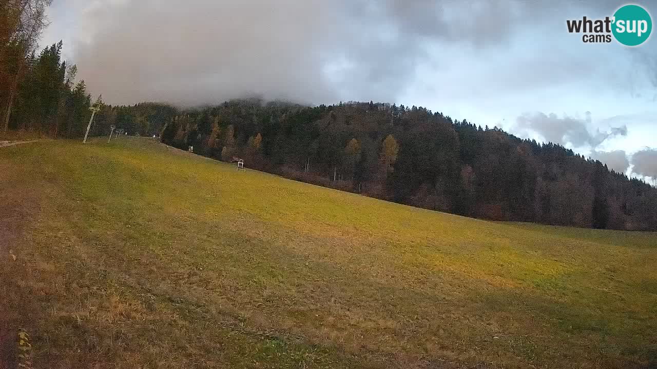 Comprensorio sciistico Kranjska Gora | Brsnina