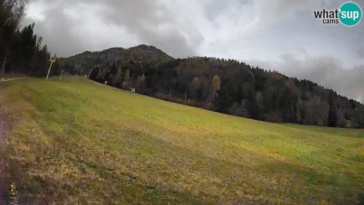 Esquí Kranjska Gora | Brsnina