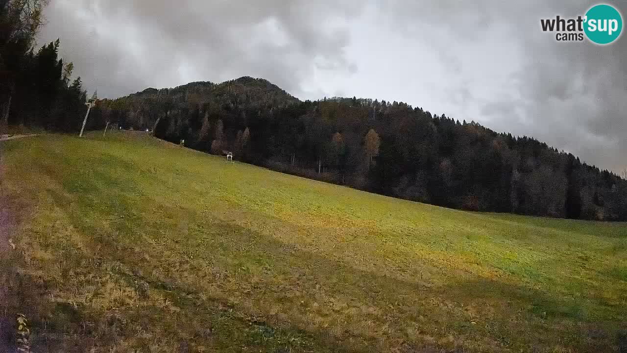 Kranjska Gora SKIJANJE | Brsnina