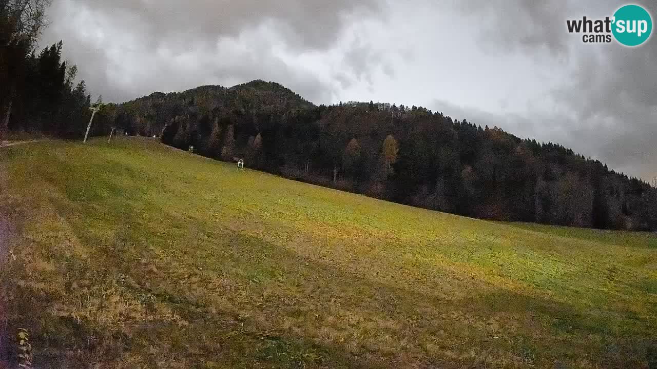 Kranjska Gora SKIJANJE | Brsnina