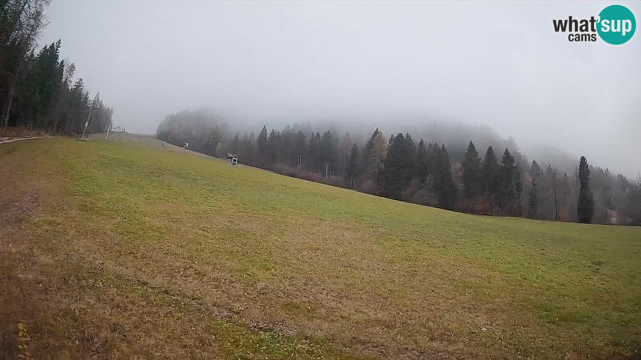 Comprensorio sciistico Kranjska Gora | Brsnina