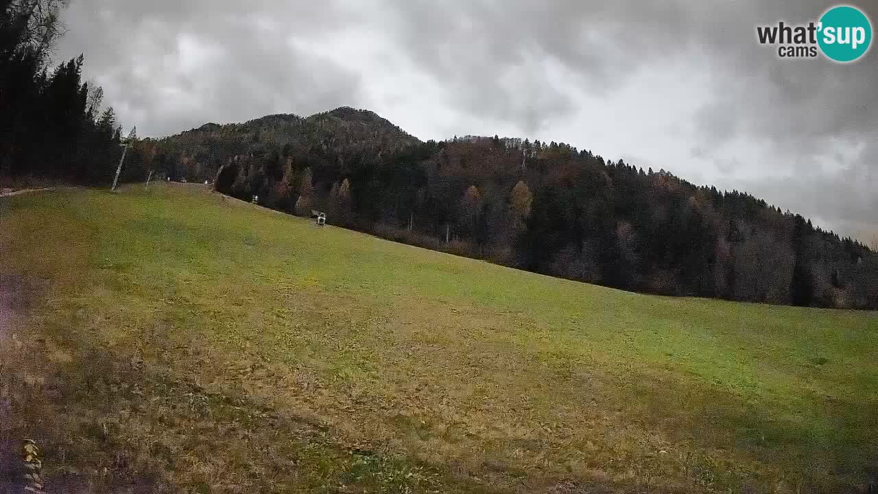 Ski Kranjska Gora | Brsnina