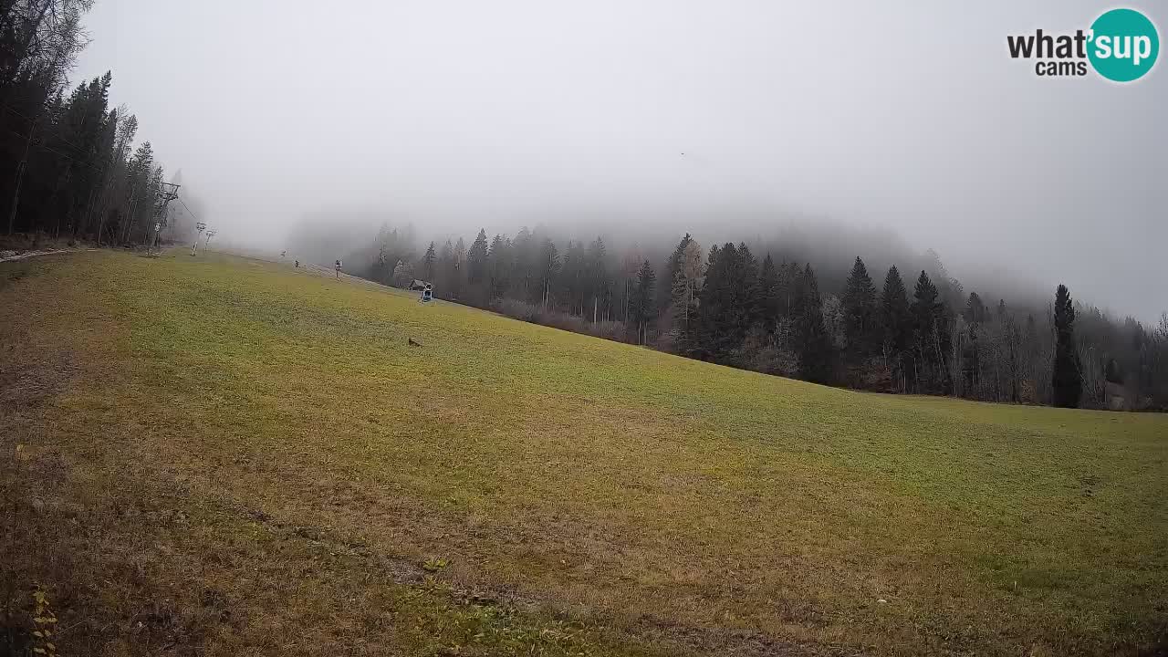 Ski Kranjska Gora | Brsnina