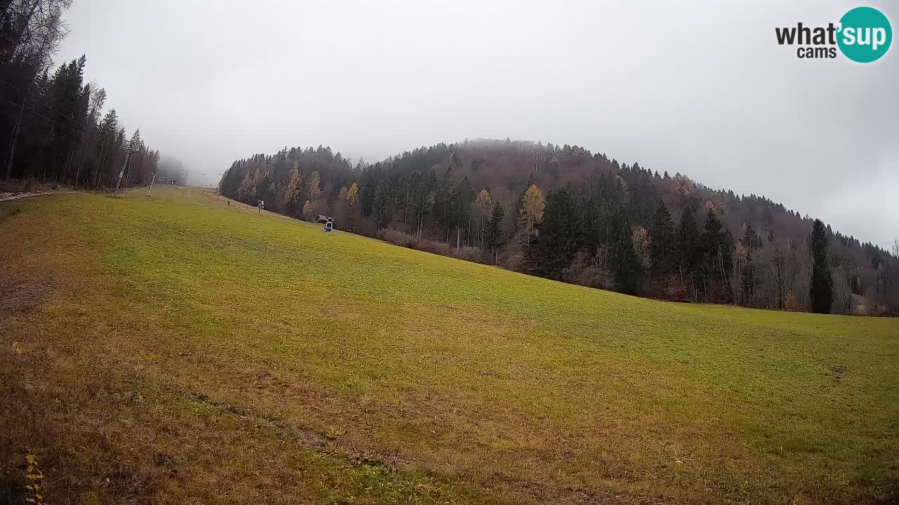 Ski Kranjska Gora | Brsnina