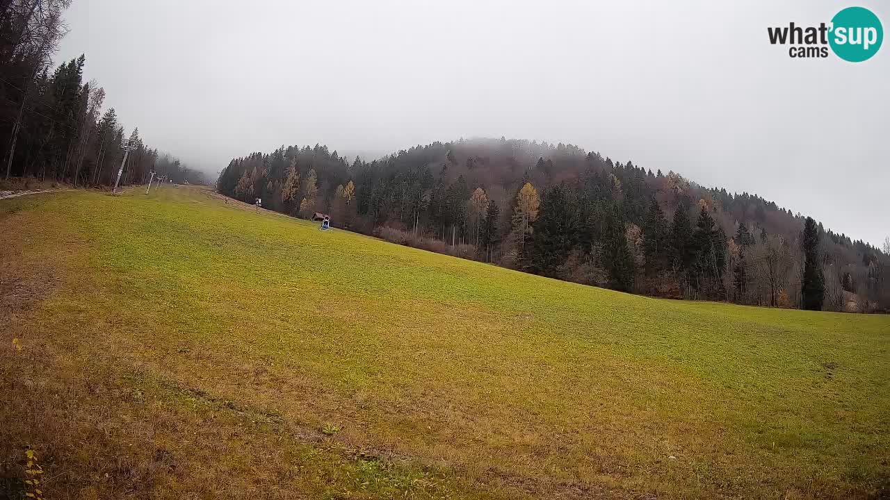 Esquí Kranjska Gora | Brsnina