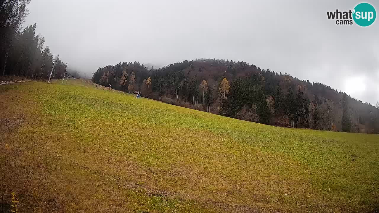 Ski Kranjska Gora | Brsnina