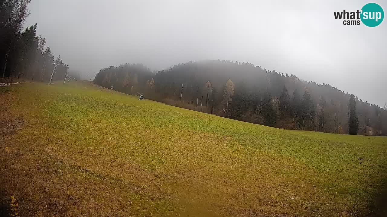 RTC Skigebiet Kranjska Gora | Brsnina