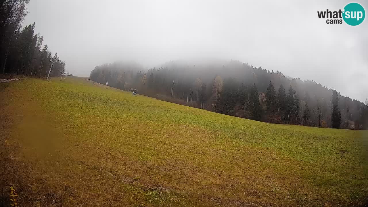 Esquí Kranjska Gora | Brsnina