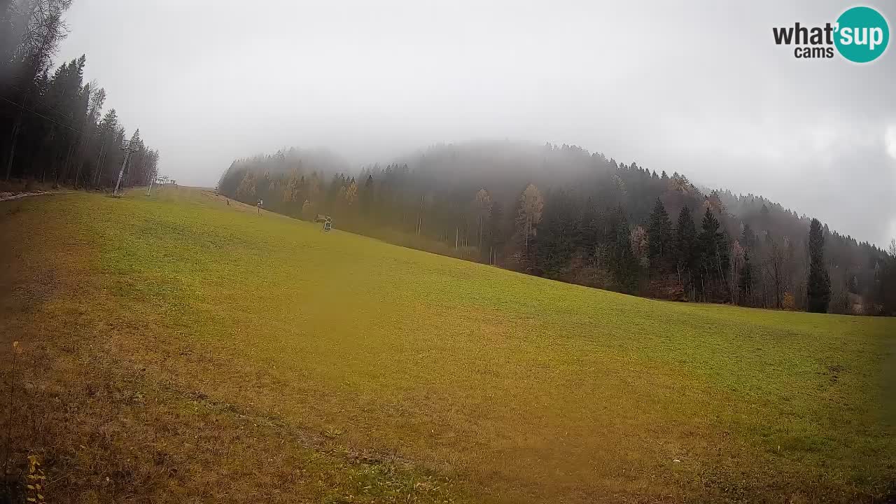 RTC Skigebiet Kranjska Gora | Brsnina