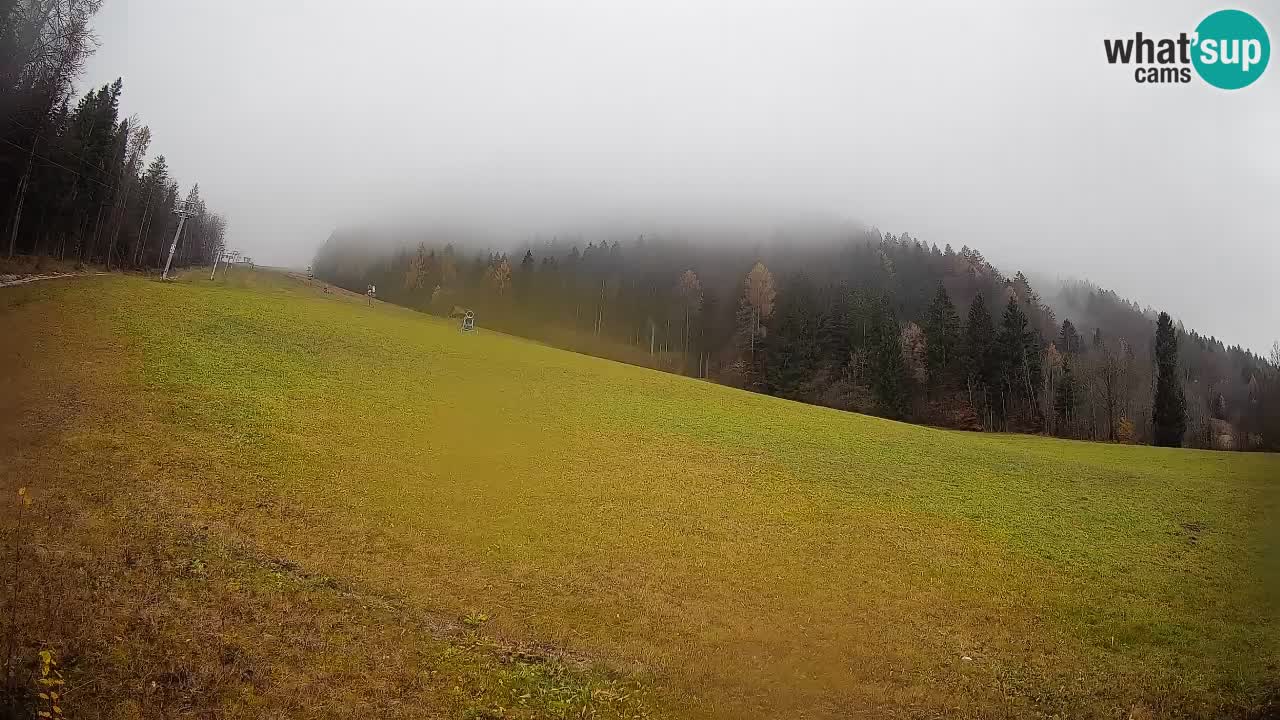 RTC Kranjska Gora | Brsnina