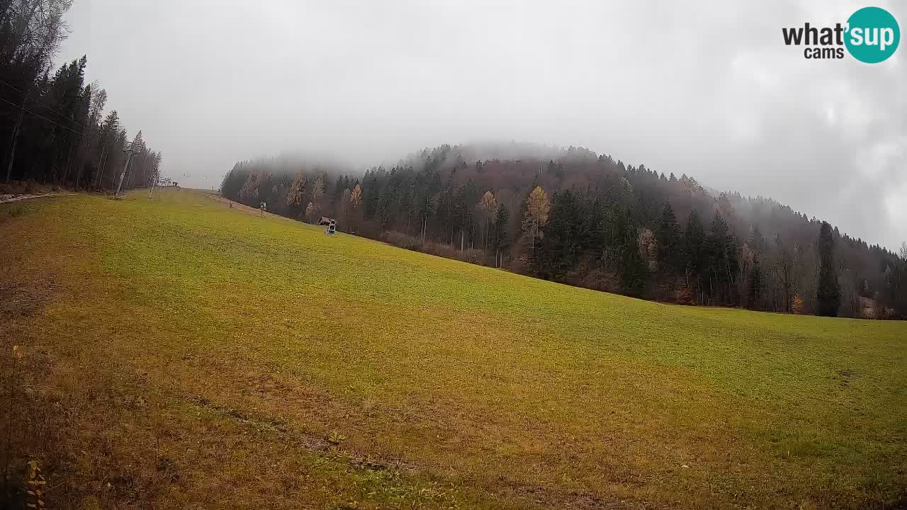 RTC Kranjska Gora | Brsnina