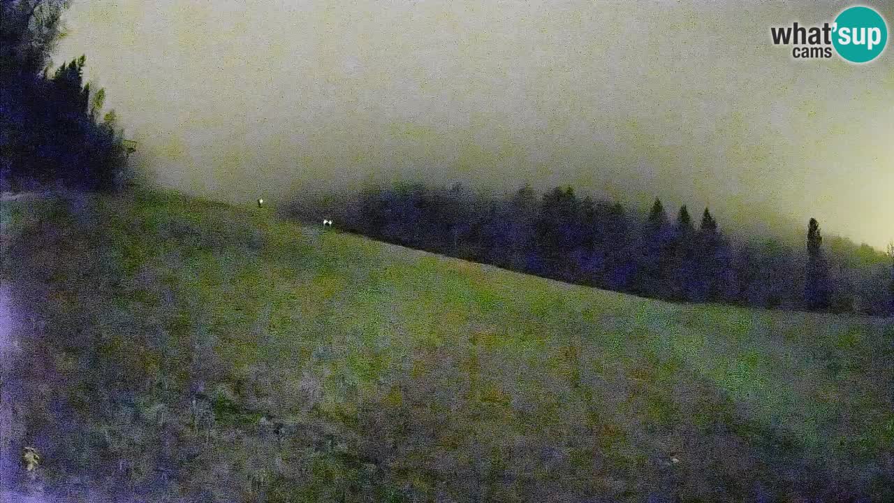 Comprensorio sciistico Kranjska Gora | Brsnina