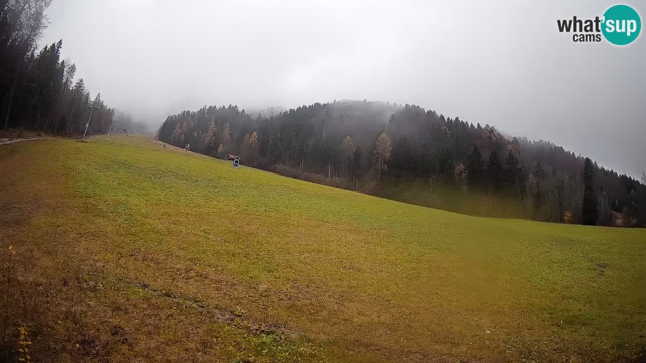 Comprensorio sciistico Kranjska Gora | Brsnina