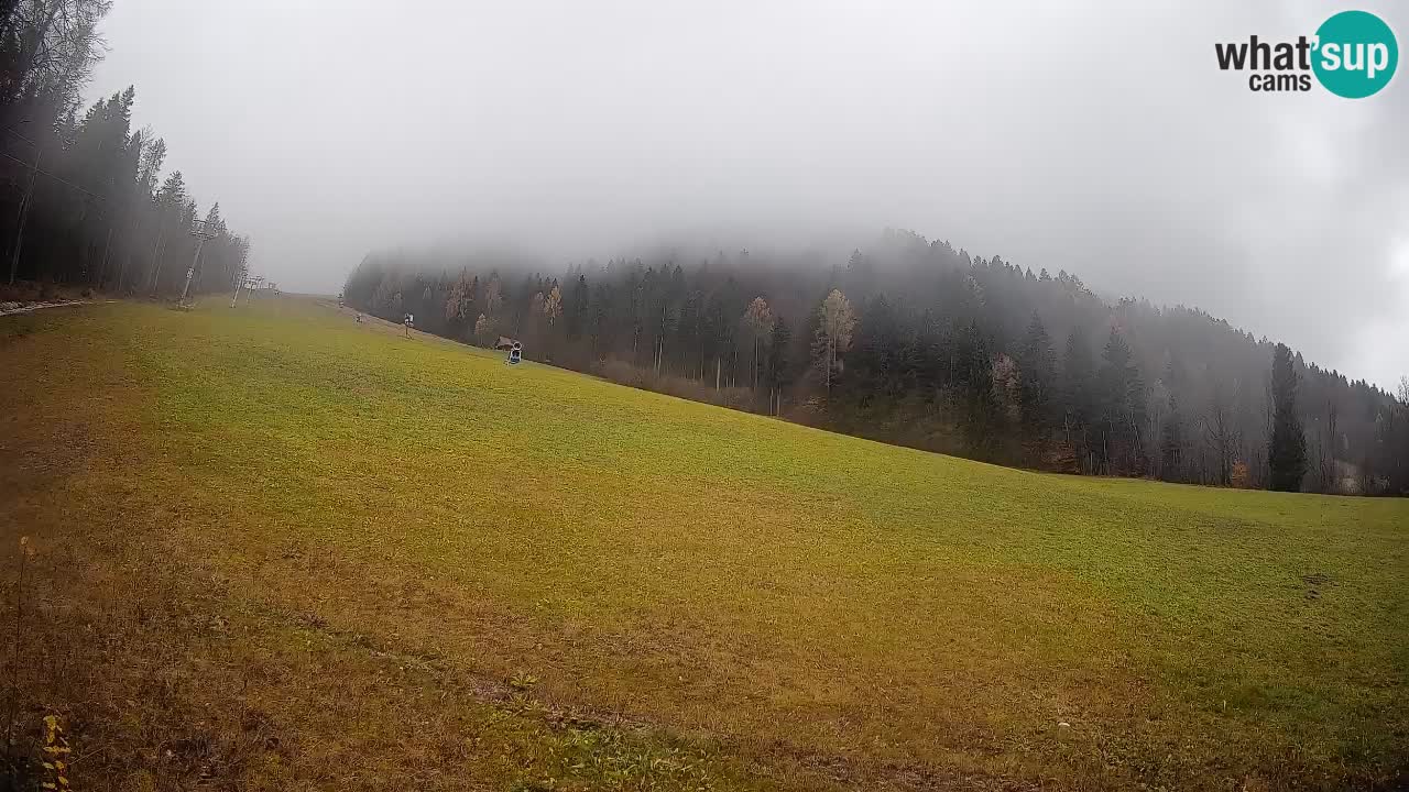 RTC Skigebiet Kranjska Gora | Brsnina