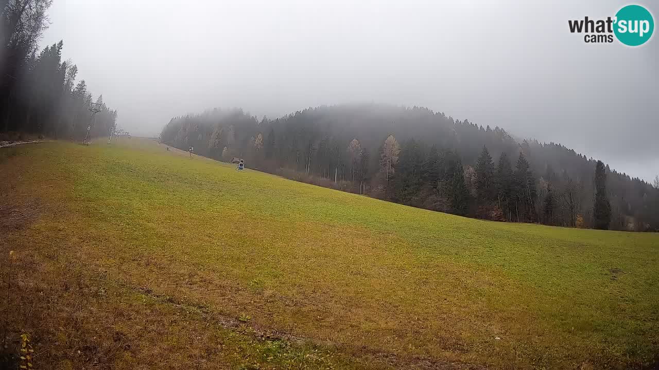 RTC Kranjska Gora | Brsnina